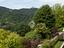 Immagine 19