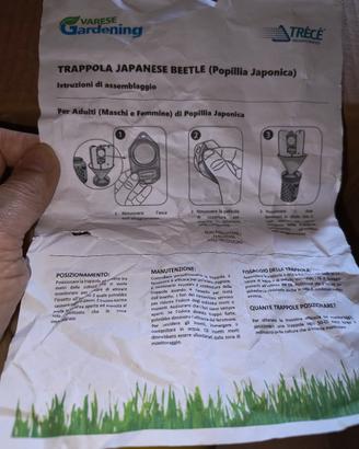 Trappola per Popilia japonica 