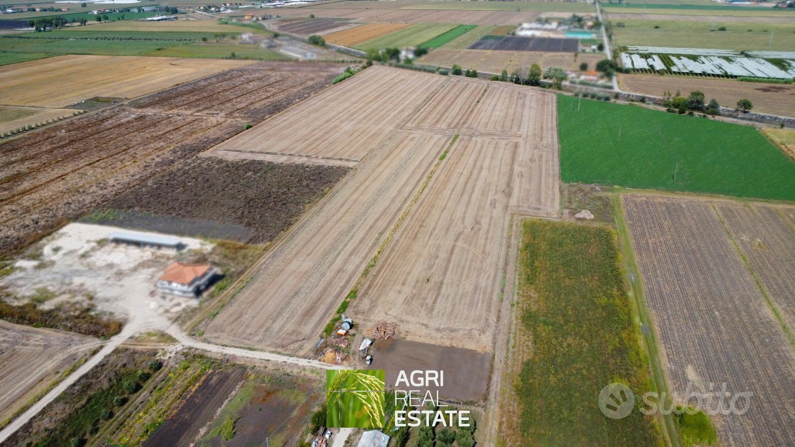 Terreno agricolo pianeggiante 8 HA fronte strada - Vista 3