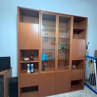 Libreria in legno con ante a vista in vetro