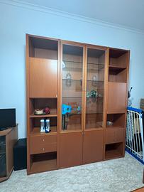 Libreria in legno con ante a vista in vetro