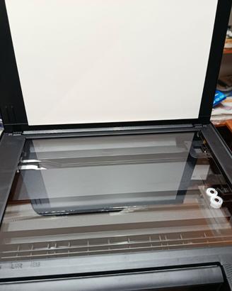 Stampante a colori