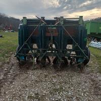 Pianta Patate seminatrice