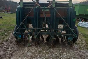 Pianta Patate seminatrice