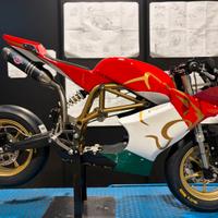 Ciclistica Virale Twelve Erre