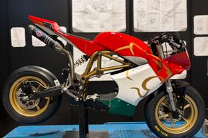 Ciclistica Virale Twelve Erre