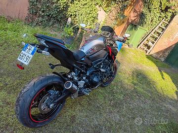 Kawasaki Z 900 - 2024