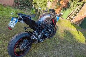Kawasaki Z 900 - 2024