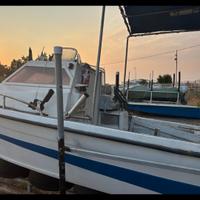 Barca con motore e carrello