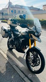 Triumph Tiger RALLY KIT TRE BORSE MAOPOLE RISCALDA
