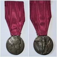 Medaglia volontari guerra 15 - 18