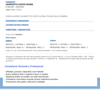 Lavapiatti, Auito cucina, pulizia delle camere