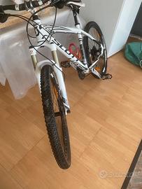 Scott 26