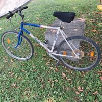 bicicletta mtb vintage