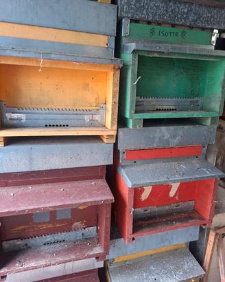 Apicoltura arnie e altro