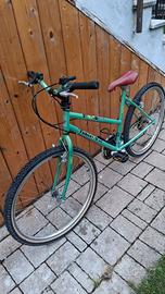 Bicicletta 26 polloci
