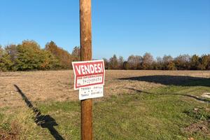 Terreno edificabile + agricolo