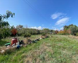 Terreno Agricolo Orbetello [Cod. rif 3192631VRG]