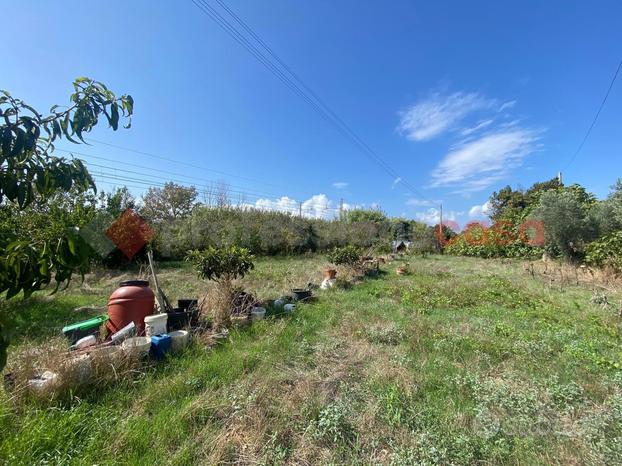 Terreno Agricolo Orbetello [Cod. rif 3192631VRG]