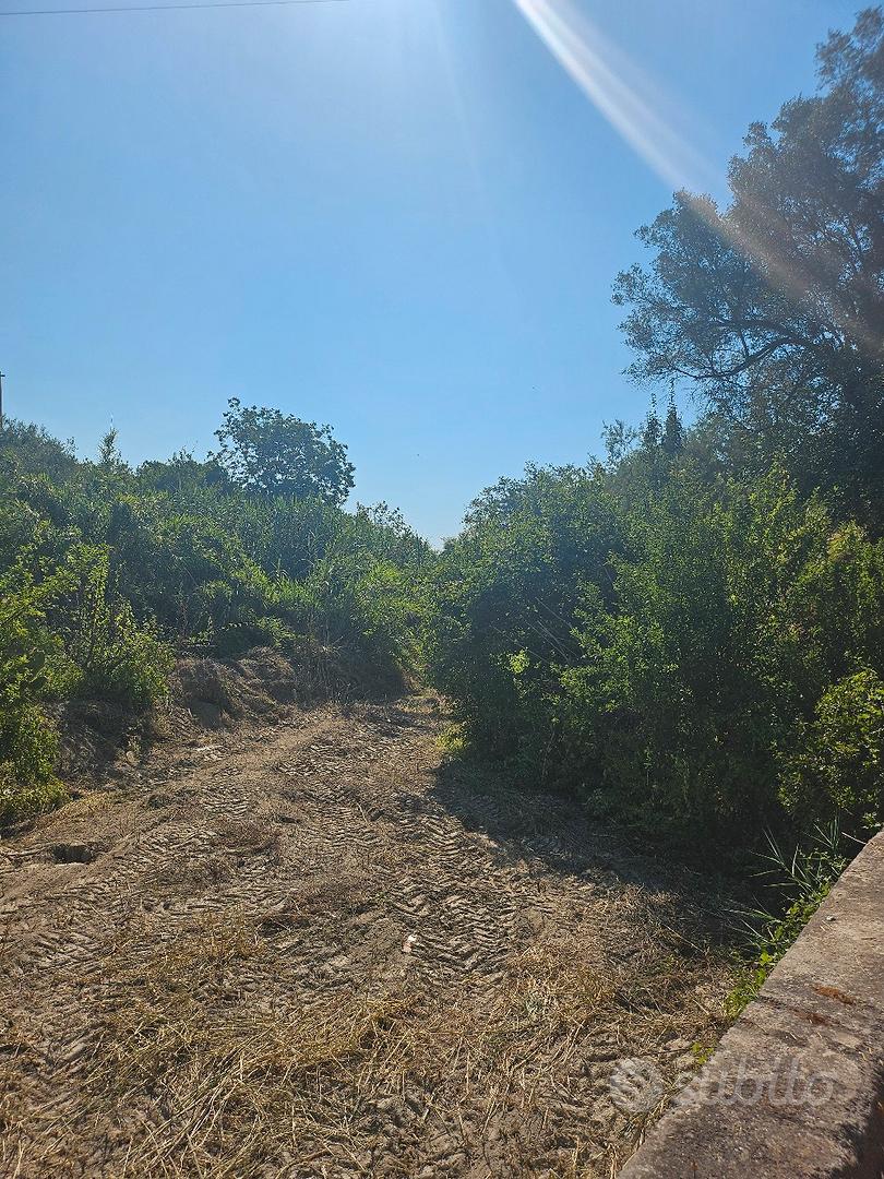 Terreno agricolo a Bianco - Vista 5