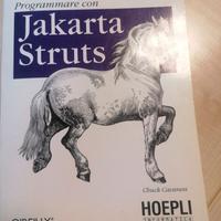 Manuale jakarta struts