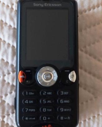 Cellulare Sony Ericsson W810i