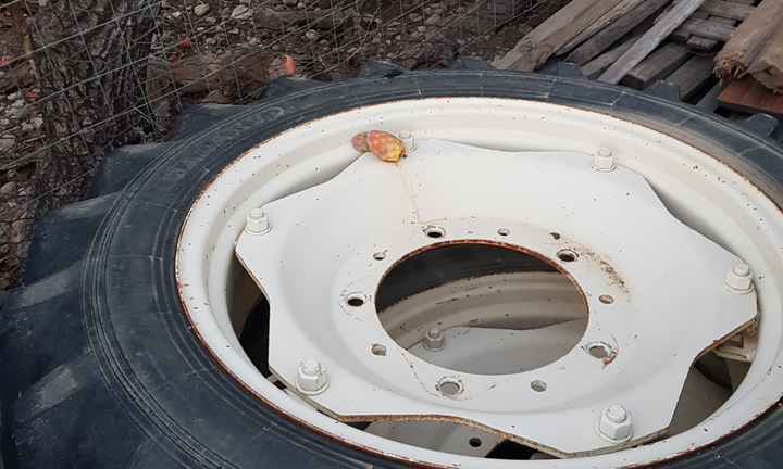 Gomme Cerchi trattore SAME lamborghini 11.2 R 28