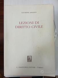 Lezioni di diritto civile G. Amadio