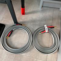 Cavo x diffusori QED X 40