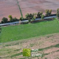 Sabaudia (LT) - Terreno 8.000 mq con pozzo | TR454