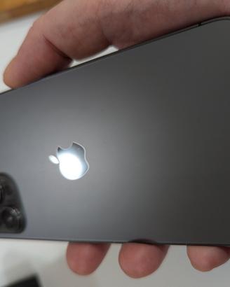 iPhone 12 Pro Max -Perfetto -