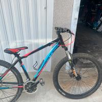Bici mtb