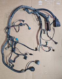 Cablaggio motore euro2 Peugeot 106 Rally 1600 16v
