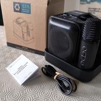 kit karaoke di qualità con due microfoni.