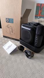 kit karaoke di qualità con due microfoni.