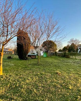 TER. RESIDENZIALE A LESTIZZA