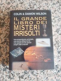 Libro Il grande libro dei misteri irrisolti