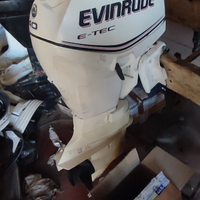 Evinrude etec 40 intero o ricambi