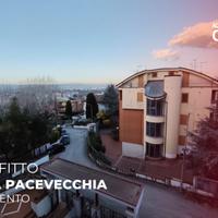 Via Ruffilli-Zona Pacevecchia