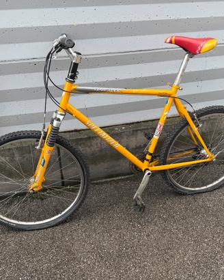 Specialized Hardrock + Rockshox