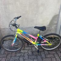Bicicletta mountain bike