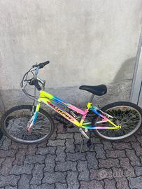 Bicicletta mountain bike