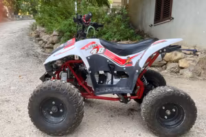 Quad LEM 110