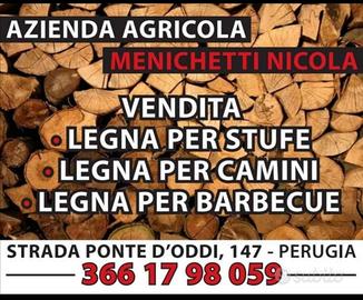 legna camino stufa barbecue 