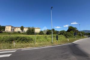 TER. AGRICOLO A ALZATE BRIANZA