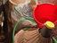Immagine 2