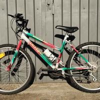 Bici mountain-bike da bambini 
