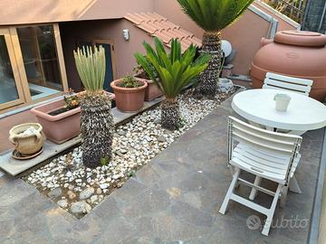 Appartamento uso casa vacanze partanna mondello