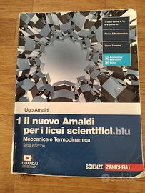 1 i il nuovo Amaldi per i licei scientifici
