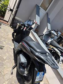 sh 350 sport